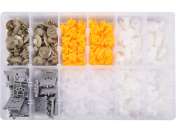 Set Clipsuri Auto Renault 300 Buc