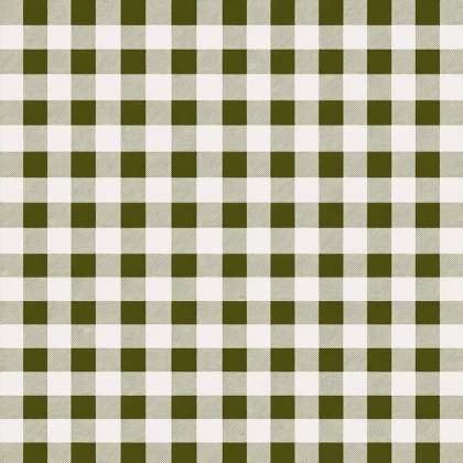 Fata Masa Pvc - 160g/m2 / 1.37x20m / Caro-olive