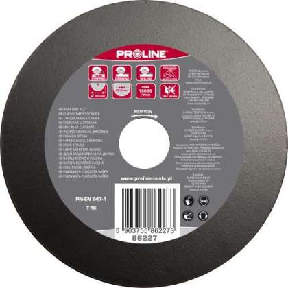Disc Raspel Plat / Fin - 125mm
