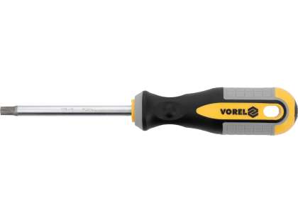Surubelniță Torx T40X100Mm