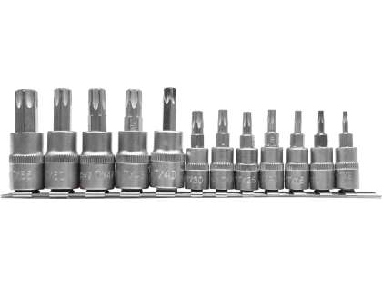 Set Biți Torx 12 Buc