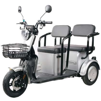Triciclu Doua Locuri - 1000w / 60v / 20ah / Gri
