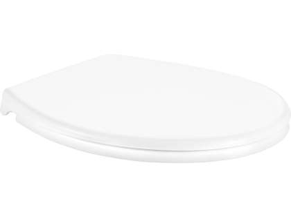 Capac ToaletĂ Pp