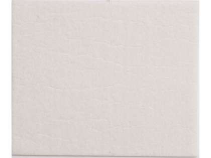 Suport Antiderapant, 100X120Mm