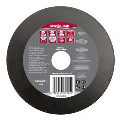 Disc Raspel Plat / Aspru - 125mm