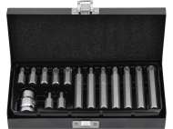 Set Biți Torx 15 Piese T20-T55