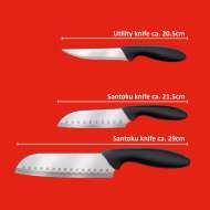 Set 3 Cutite Bucatarie Santoku Alpina 