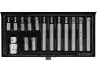 Set BiȚi Torx 15 Piese