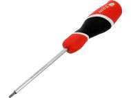 ȘurubelniȚĂ Torx T10x100mm